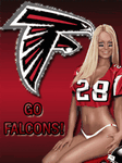 pic for go falcons